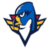 Springfield Thunderbirds