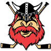 Nybro Vikings IF