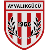 Ayvalikgucu